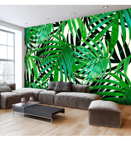 Mural de parede - Tropical Leaves