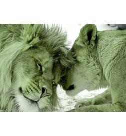 Papier peint - Lion Tenderness (Green)