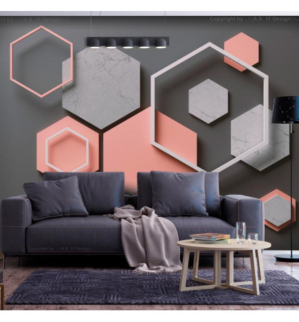 Mural de parede - Hexagon Plan