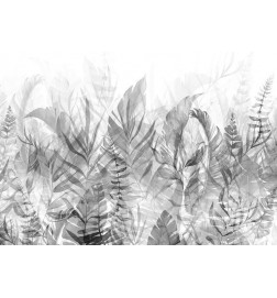 Fotomurale con le piante in bianco e nero