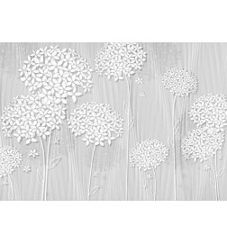34,00 € Wall Mural - Delicate Shade