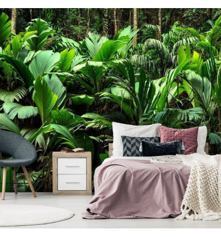 Wall Mural - Freshness of the Jungle