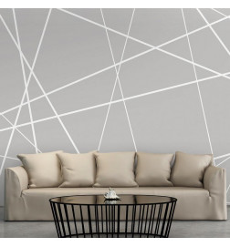 Wall Mural - Modern Cobweb