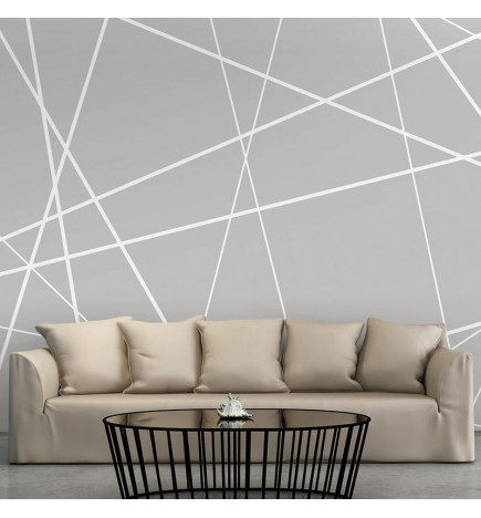 Mural de parede - Modern Cobweb