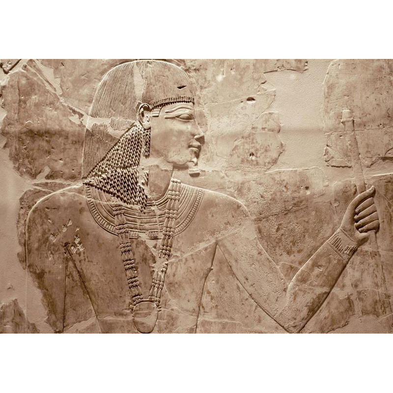 34,00 € Wall Mural - Stone Pharaoh