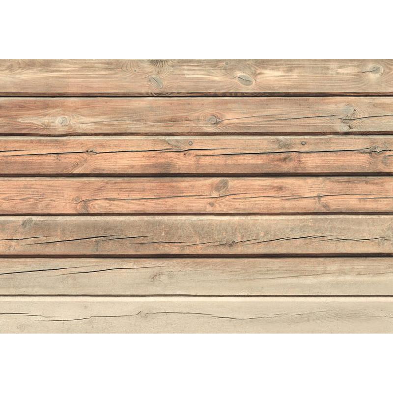 34,00 € Wall Mural - Old Pine
