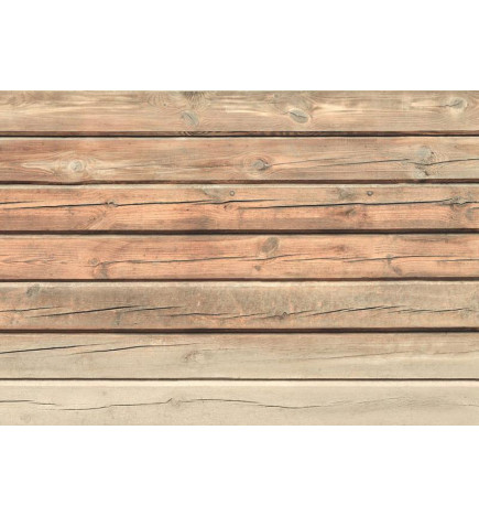 34,00 € Wall Mural - Old Pine