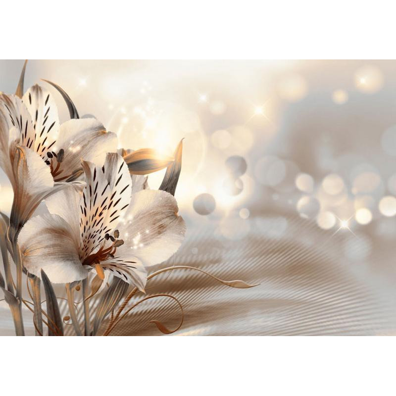 34,00 € Fotobehang - Creamy motif - lily flowers in morning glow on striped background
