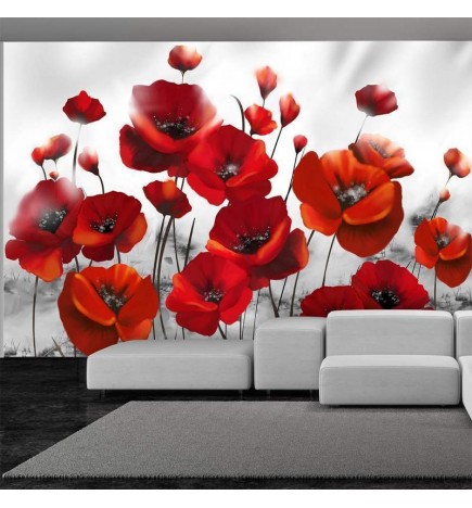 Foto tapete - Poppies in the Moonlight