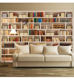 Wall Mural - Home library