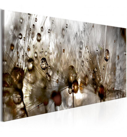 82,90 € Schilderij - Drops of Water