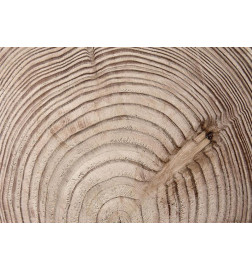 Fototapete - Wood grain