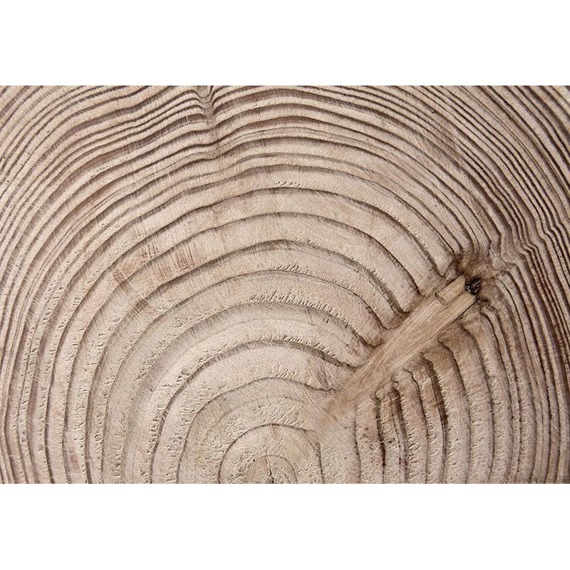 34,00 € Foto tapete - Wood grain