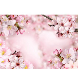 Fotobehang - Spring Cherry Blossom