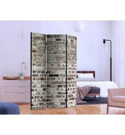 101,00 € Room Divider - Walls of Time