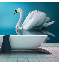 Fototapetti - swan - reflection