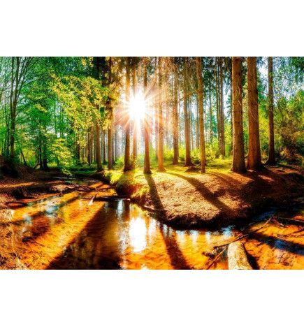 34,00 € Wall Mural - Marvelous Forest