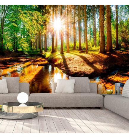 Wall Mural - Marvelous Forest