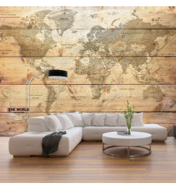 34,00 € Wall Mural - Map on Boards