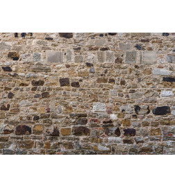 34,00 € Fotomural - Stone Fence