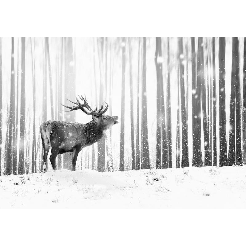 34,00 € Fotobehang - Deer in the Snow (Black and White)