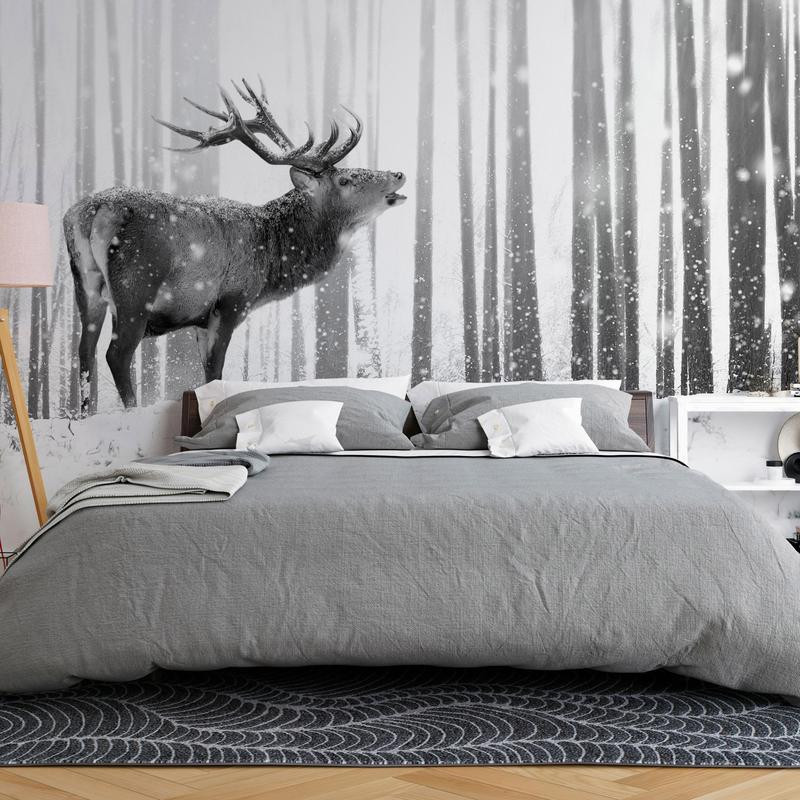 34,00 € Fototapet - Deer in the Snow (Black and White)