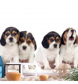 34,00 € Fotobehang - Sad Puppies