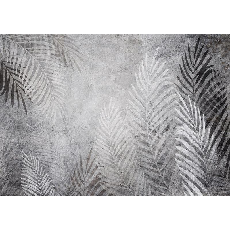 34,00 € Wall Mural - Palm Trees in the Dark