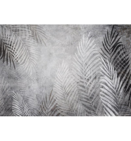 Seinapilt – palmipuud pimeduses