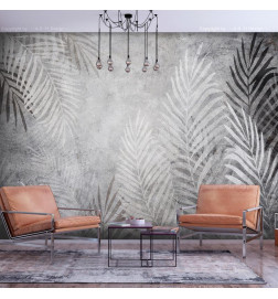 Seinapilt – palmipuud pimeduses