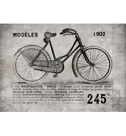 Papier peint - Bicycle (Vintage)