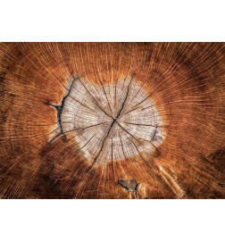 Fotobehang - The Soul of a Tree