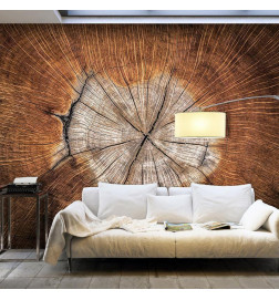 Wall Mural - The Soul of a Tree