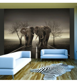 Mural de parede - City of elephants