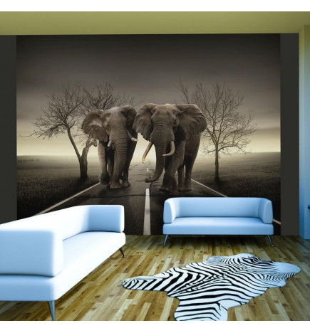 Wall Mural - City of elephants