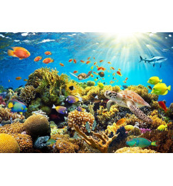 34,00 € Fotobehang - Underwater Land