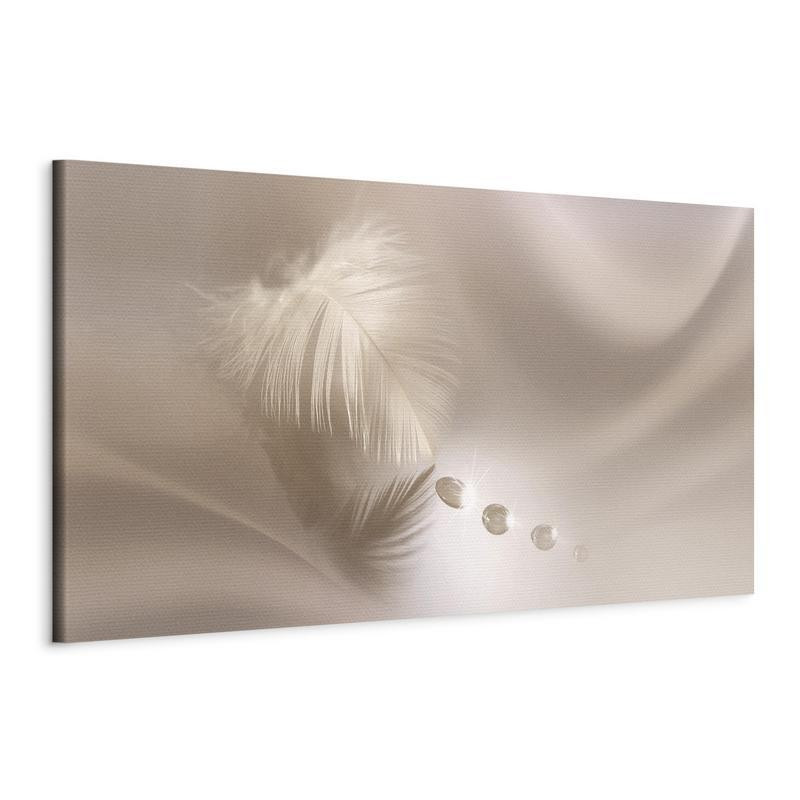 82,90 € Paveikslas - Delicate Feather