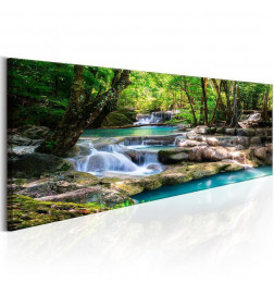 Schilderij - Nature: Forest Waterfall