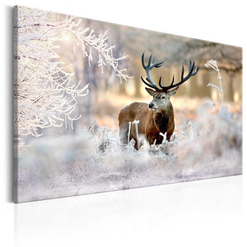 31,90 € Schilderij - Deer in the Cold