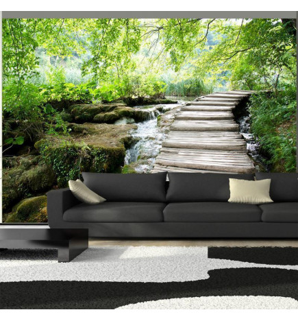 34,00 € Wall Mural - Forest path