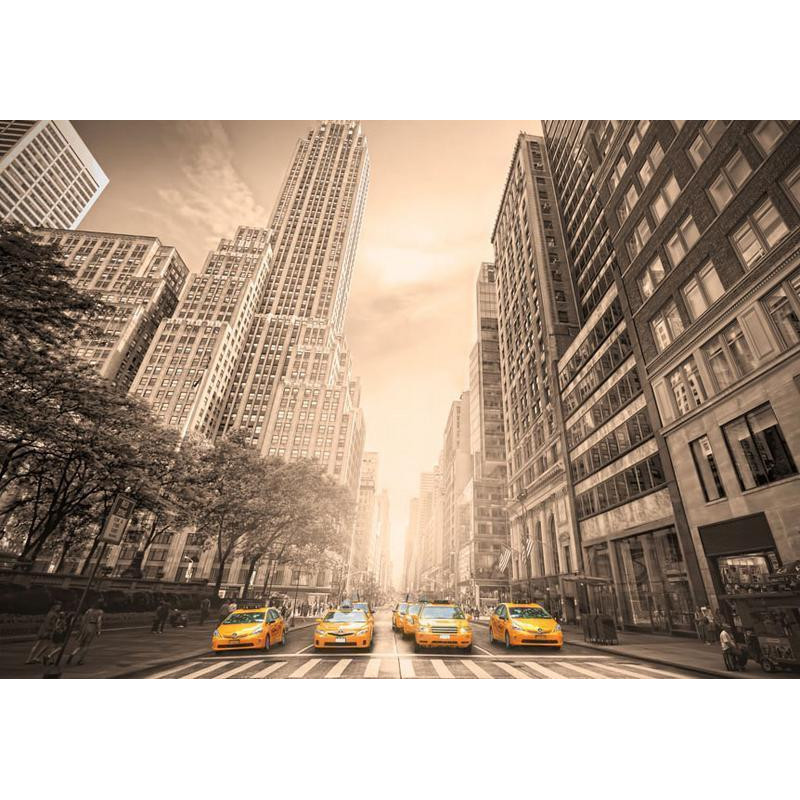 34,00 € Fotomural - New York taxi - sepia