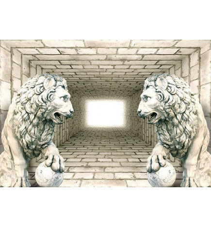 34,00 € Foto tapete - Chamber of lions