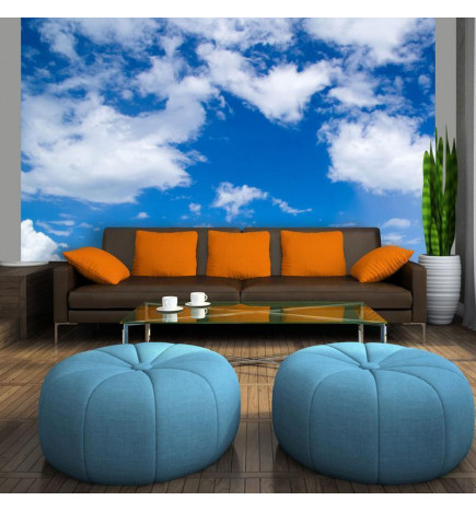 73,00 € Wall Mural - Under the sky