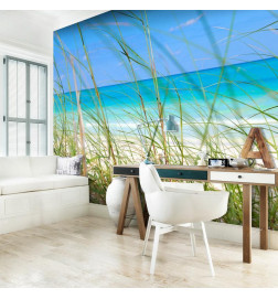 Wall Mural - Tropical journey