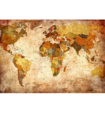 34,00 € Fotobehang - Old World Map