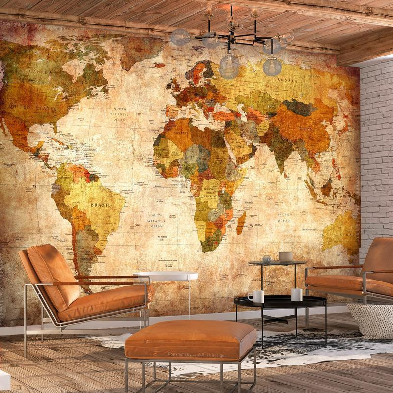 34,00 € Wall Mural - Old World Map