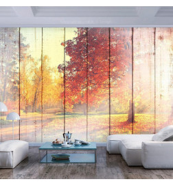Wall Mural - Autumn Sun