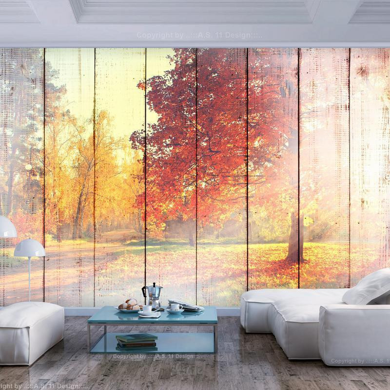 34,00 € Wall Mural - Autumn Sun