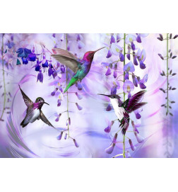 Fotomural - Flying Hummingbirds (Violet)