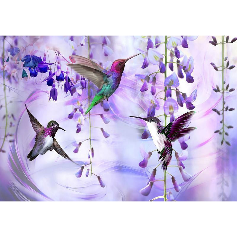 34,00 € Fototapete - Flying Hummingbirds (Violet)